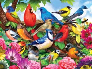 RoseArt - Puzzle Collector - Friendly Birds - 300 XL Piece Jigsaw Puzzle for Adults – Wholesale & Export UAE