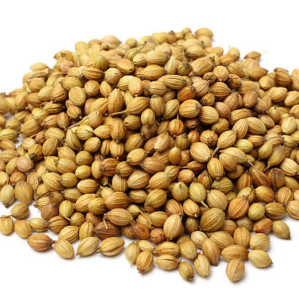 USDA Organic Indian Coriander Whole Seeds