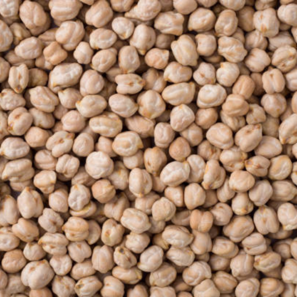 Indian Origin Kabuli Chickpeas New Crop