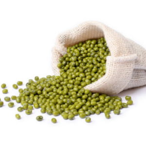 Bulk Export FitTree International Indian Green