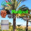 UV-Resistant-Drawstring-Net-Cover-Supports-Medjool-Date-Orchard-Wind-Protection-13.webp China UV Resistant Drawstring Net Cover Supports Medjool Date Orchard Wind Protection
