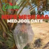 Waterproof-Medjool-Date-Palm-Protection-Mesh-Bag-Rainproof-and-Anti-Bird-Netting-for-Dates-4.webp China Waterproof Medjool Date Palm Protection Mesh Bag Rainproof and Anti Bird Netting for Dates