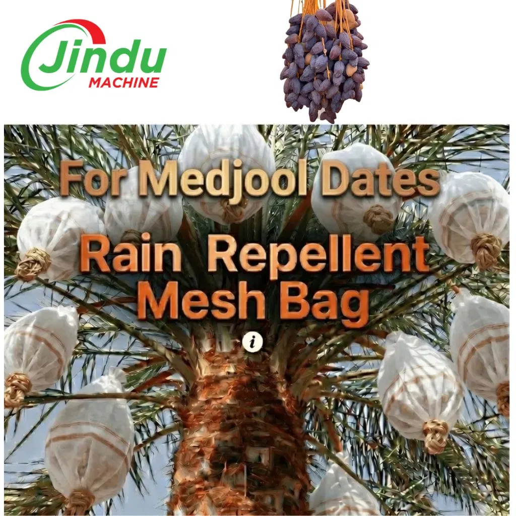 Waterproof-Medjool-Date-Palm-Protection-Mesh-Bag-Rainproof-and-Anti-Bird-Netting-for-Dates-6.webp China Waterproof Medjool Date Palm Protection Mesh Bag Rainproof and Anti Bird Netting for Dates