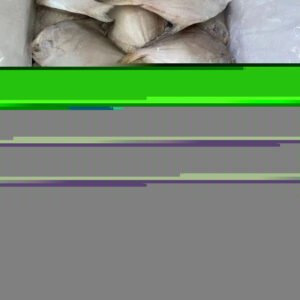 A Grade Sardinella Fish BQF Frozen