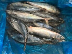 AAA Brand Sea Frozen Mackerel 400