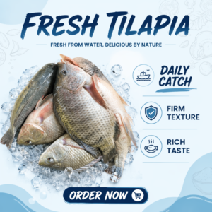 African Food Frozen Tilapia Whole Round