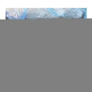 African Market Frozen Pacific Mackerel 500