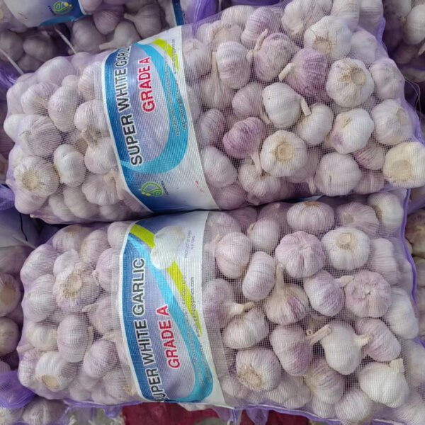 Ail Frais Wholesale Supplier High Quality