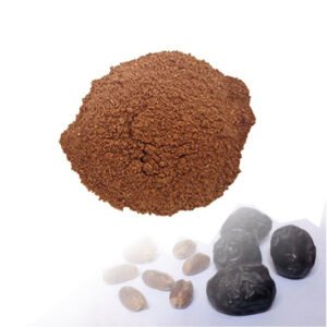 Ajwa Seeds Powder — premium quality