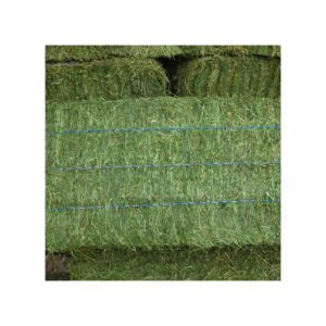 Alfalfa hay accessible in significant quantity