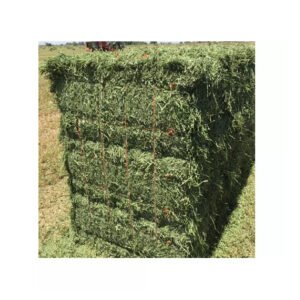 Alfalfa Hay High Quality Bulk Packaging