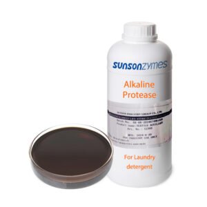 Alkaline Protease Enzyme 2 Detergent Booster