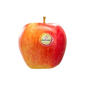 Apple Ambrosia USA 500g Apple Ambrosia USA 500g — premium quality