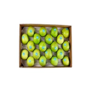 Apple Granny Smith France 18 kg Box Apple Granny Smith France 18 kg Box — premium quality