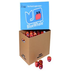 Apple Red France 18 kg Box Apple Red France 18 kg Box — premium quality