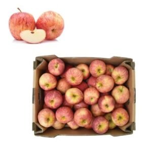 Apple Royal Gala — premium quality