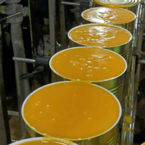 Authentic Kesar Mango Puree from India