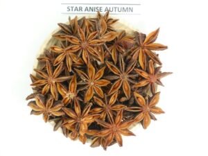 Autumn Spring Premium Star Anise From