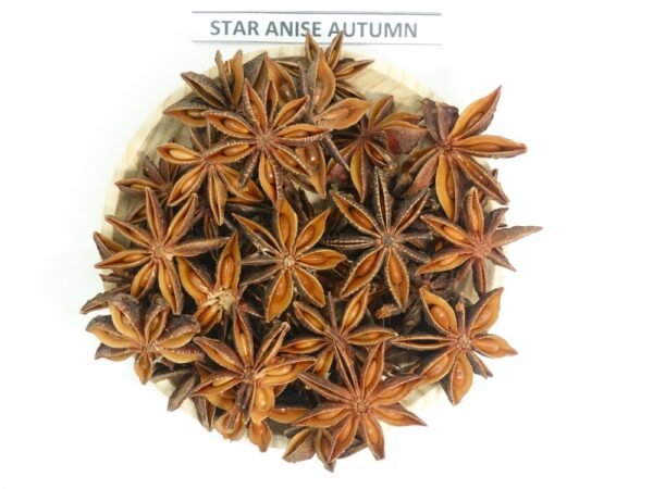 Autumn Spring Premium Star Anise From