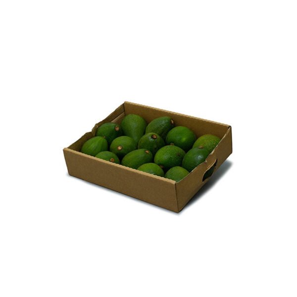 Avocado Kenya Box — premium quality