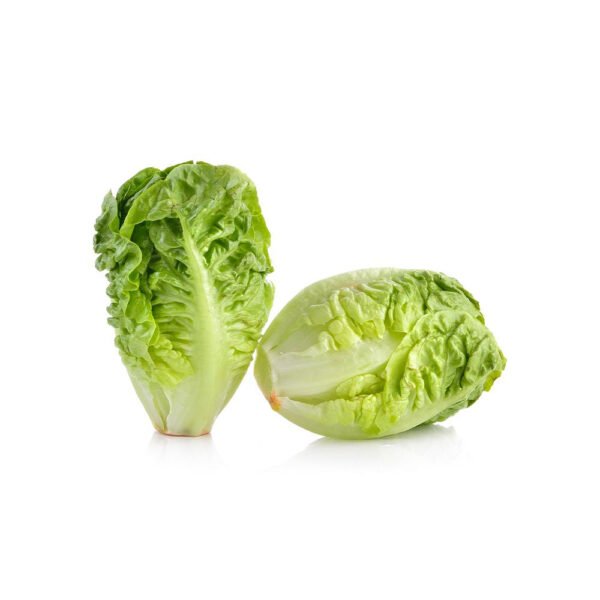 Baby Lettuce Gem Heart Spain 300g Pack Baby Lettuce Gem Heart Spain 300g Pack — premium quality