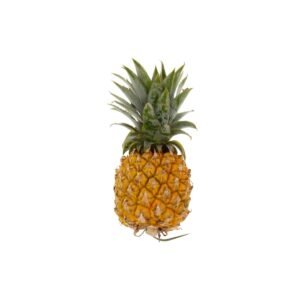 Baby Pineapple South Africa 500g Piece Baby Pineapple South Africa 500g Piece — premium quality