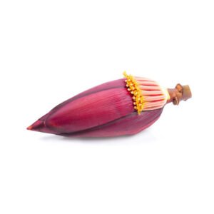 Banana Blossom Flower — premium quality
