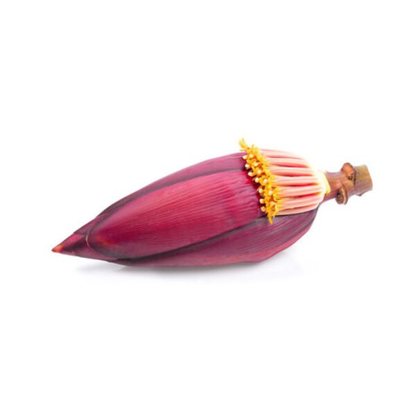 Banana Blossom Flower — premium quality