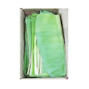 Banana Leaves — premium quality
