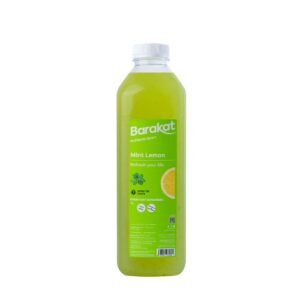 Barakat Fresh Mint Lemonade 1L wholesale UAE — bulk export supplier