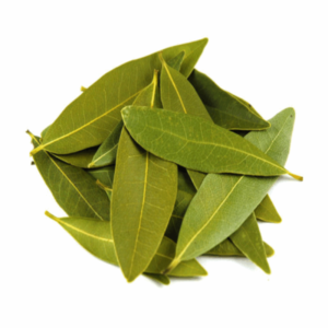 Bay Leaves Bay Leaves — premium quality