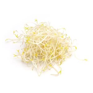 Beans Sprout — premium quality