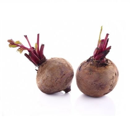 Beetroot Beetroot — premium quality