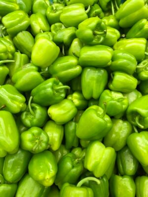 Bell Pepper Green — premium quality