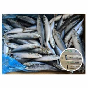 Best Price Chub Mackerel 15kg Packing