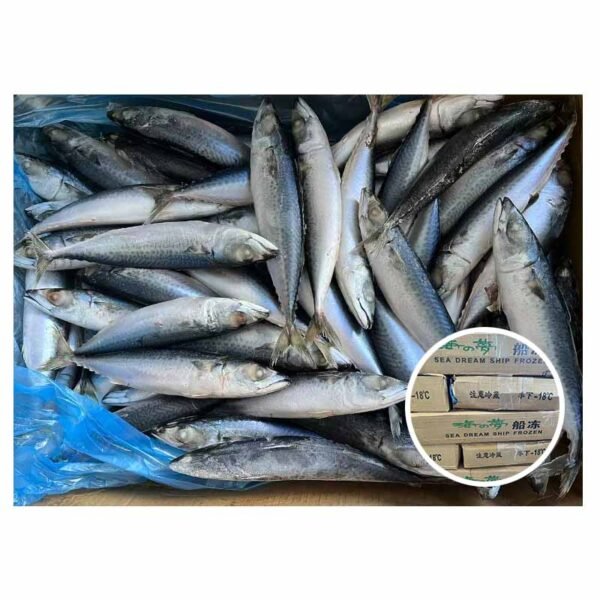 Best Price Chub Mackerel 15kg Packing
