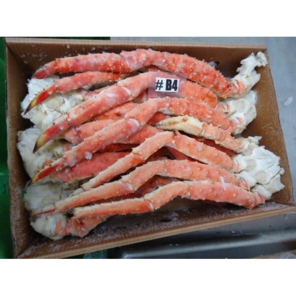 Best Quality Frozen Red King Crab Best Quality Frozen Red King Crab