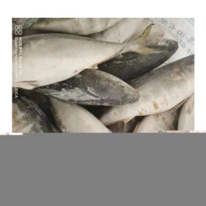 Best Quality Frozen Seafood Whole Round