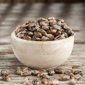 Best Quality Premium Castor Seeds US