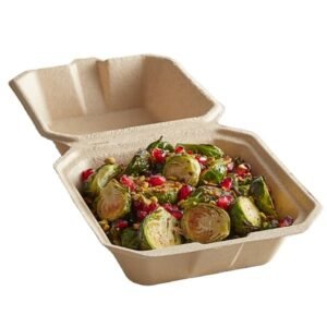 Biodegradable Sugarcane Bagasse 6 X 6