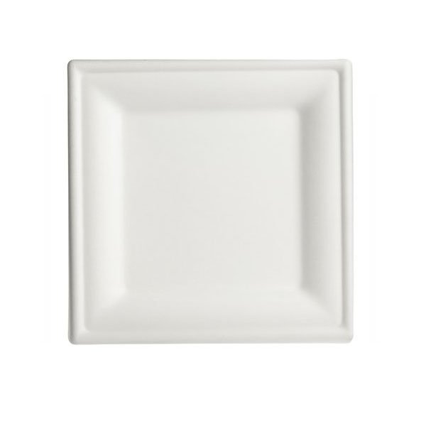 Biodegradable White Square Disposable Paper Plate