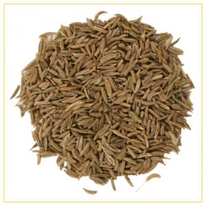 Black Cumin Seeds — premium quality