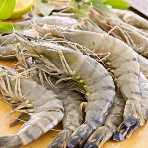 Black Tiger Prawn Vietnam Indonesia Madagascar