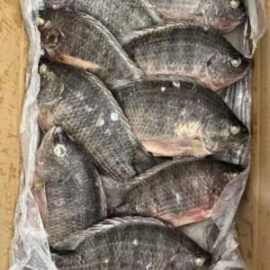 Black Tilapia 500 800G 800G Block