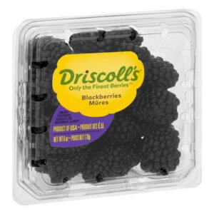 Blackberry Driscolls — premium quality