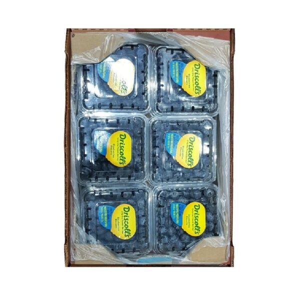 Blueberry Driscoll 39 S Box — premium quality