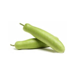 Bottle Gourd — premium quality