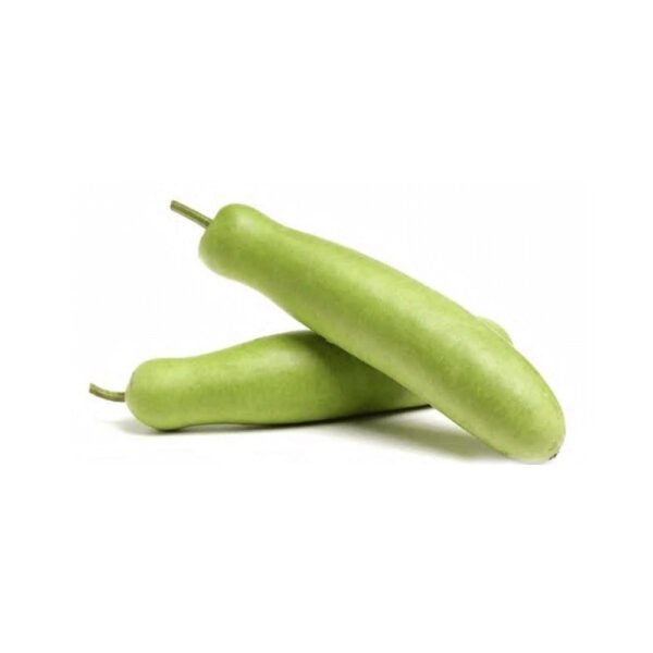 Bottle Gourd — premium quality
