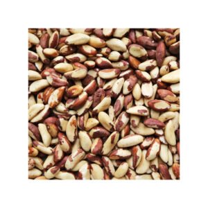 Brazil nut Inshell Large size Dehydratred