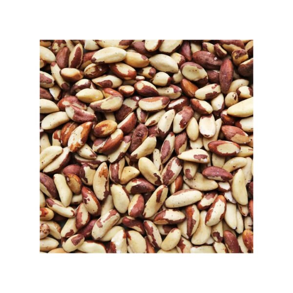 Brazil nut Inshell Large size Dehydratred